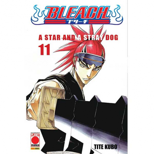 Bleach - Vol. 11