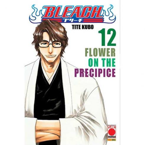 Bleach - Vol. 12