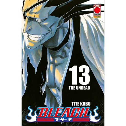 Bleach - Vol. 13