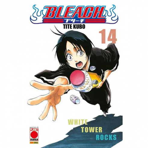 Bleach - Vol. 14