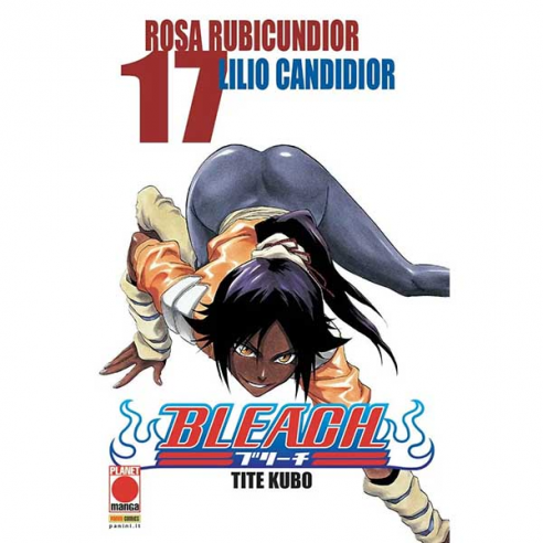 Bleach - Vol. 17
