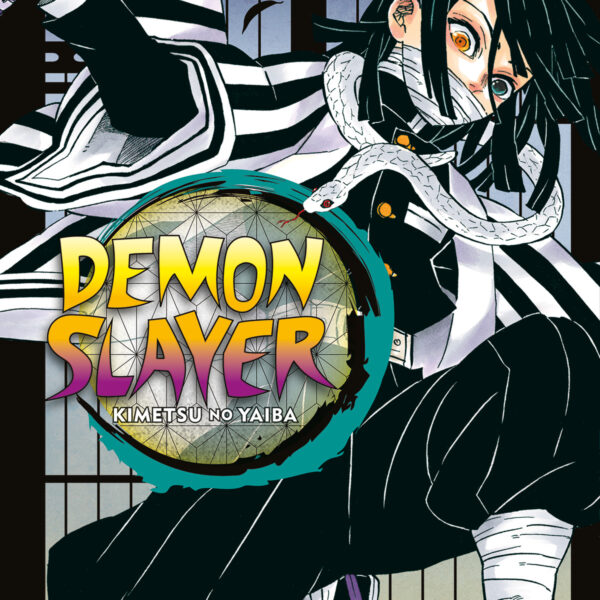 Demon Slayer: Kimetsu No Yaiba - Vol. 19