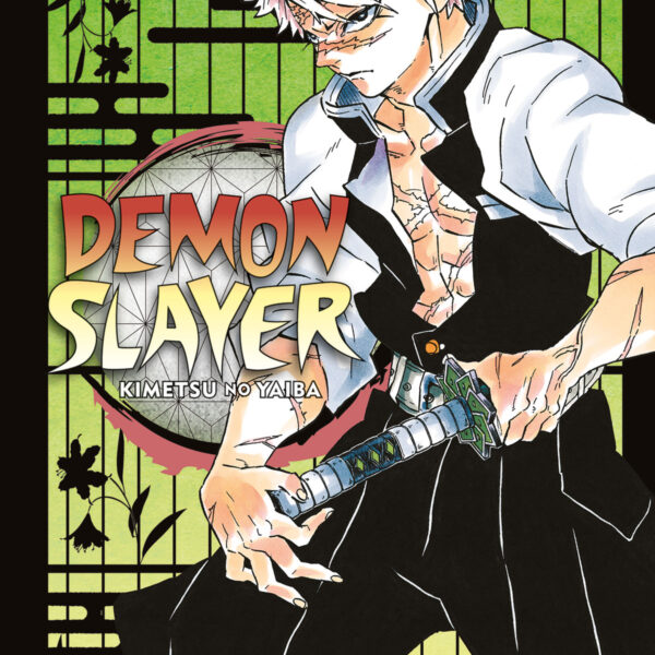 Demon Slayer: Kimetsu No Yaiba - Vol. 17