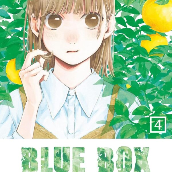 Blue Box - Vol. 04