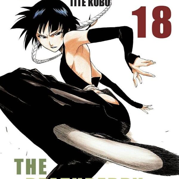 Bleach - Vol. 18