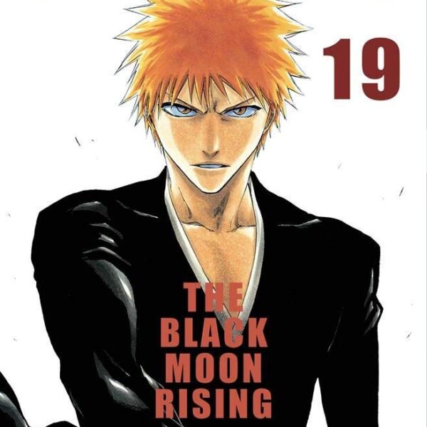 Bleach - Vol. 19