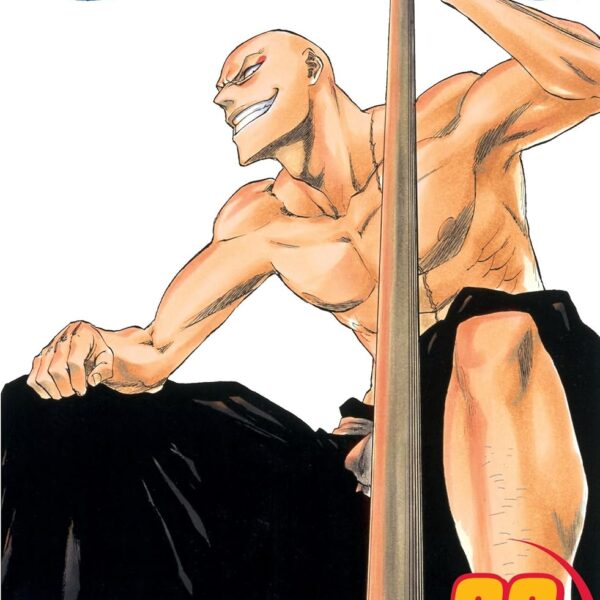 Bleach - Vol. 23