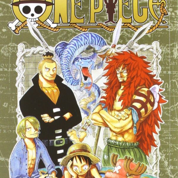 One Piece: New Edition - Vol. 31