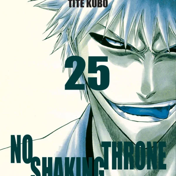 Bleach - Vol. 25
