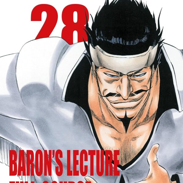 Bleach - Vol. 28