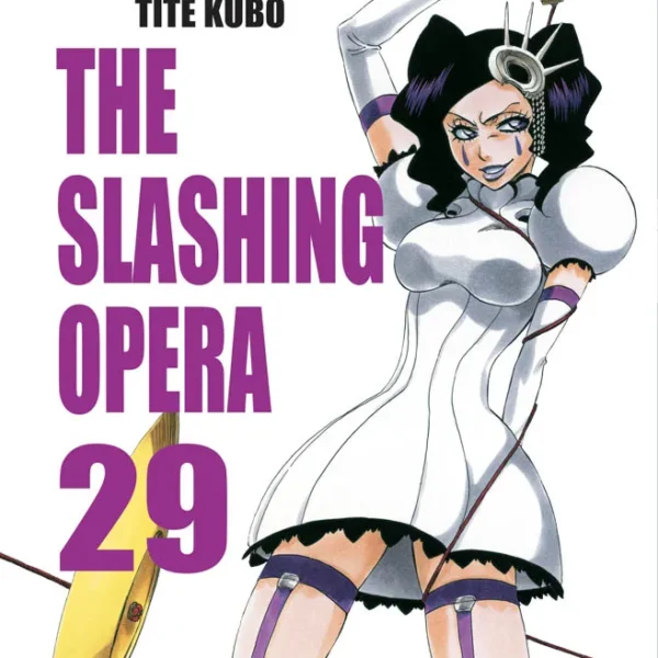 Bleach - Vol. 29